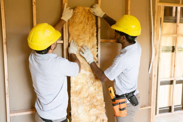 Best Insulation Removal  in Masontown, PA